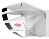 free-flap